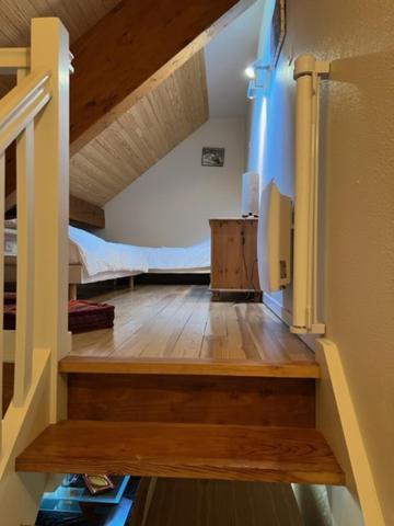 Appartement Style Chalet A Saint Lary Soulan. Dış mekan fotoğraf